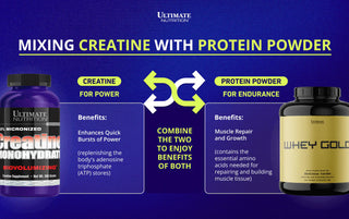 Creatine-Protein